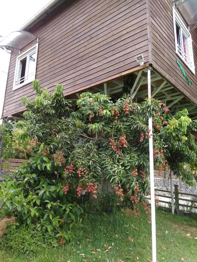 Ti Kaz Perchee Villa Entre-Deux Dış mekan fotoğraf