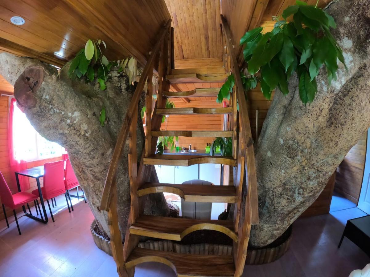 Ti Kaz Perchee Villa Entre-Deux Dış mekan fotoğraf